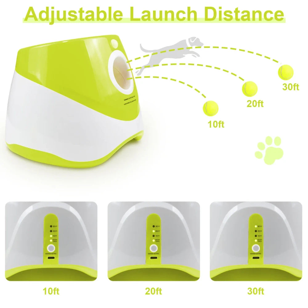 Interactive Pet Feeder Toy