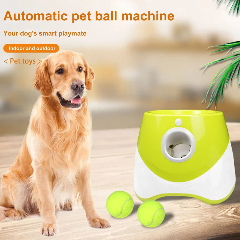 Interactive Pet Feeder Toy